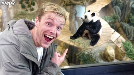 Enzo Knol – De Panda’s Voeren! – Vlog #1403