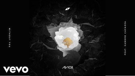Avicii feat. Sandro Cavazza – Without You