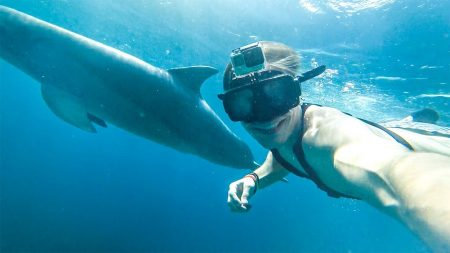 Enzo Knol – Zwemmen Met Dolfijnen! – Vlog #1616