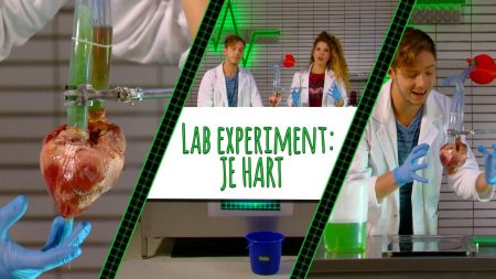 Topdoks – Rachel En Elbert Testen Het Hart! – Lab Experiment