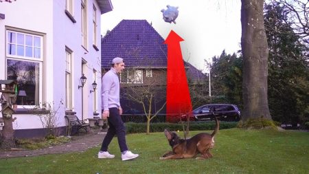 Enzo Knol – Spelen Met Bumper De Hond! – Vlog #1658
