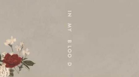 Shawn Mendes – In My Blood
