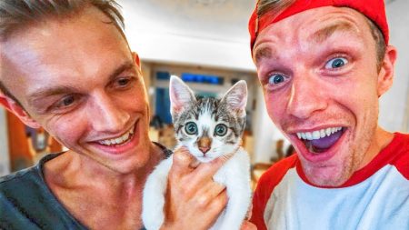 Enzo Knol – Milan Heeft Een Kitten Gekocht! – Vlog #1814