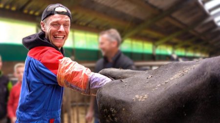 Enzo Knol – Mijn Arm Zit Vast In Het Achterste Van Een Koe… (help) – Vlog #2137