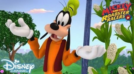 Mickey And The Roadster Racers – Goofy’s Pop Muziek Mais