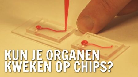 De Buitendienst – Kun Je Organen Kweken Op Chips?
