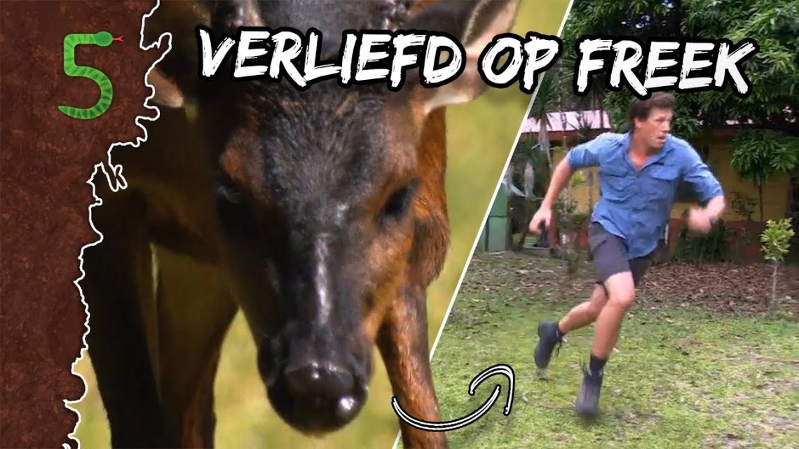 FreekTV – Freeks 5 – Verliefd Op Freek!