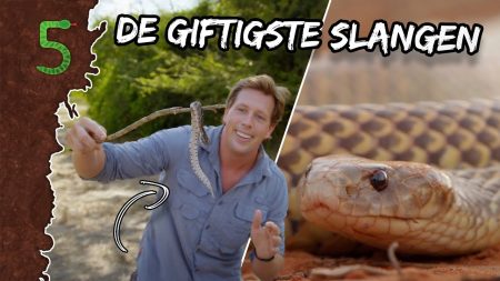 FreekTV – Freeks 5 – Bij Deze Slangen Moest Ik Heel Voorzichtig Doen!
