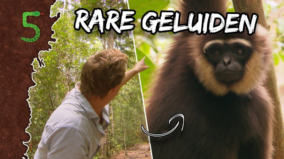 FreekTV – Freeks 5 – The Voice Met Dieren