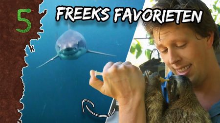 FreekTV – Freeks 5 – Freeks Favorieten