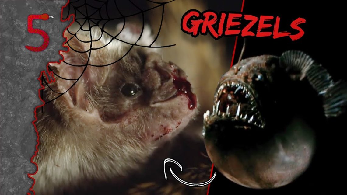 FreekTV – De Engste Dieren! (Of Gewoon Halloween?)