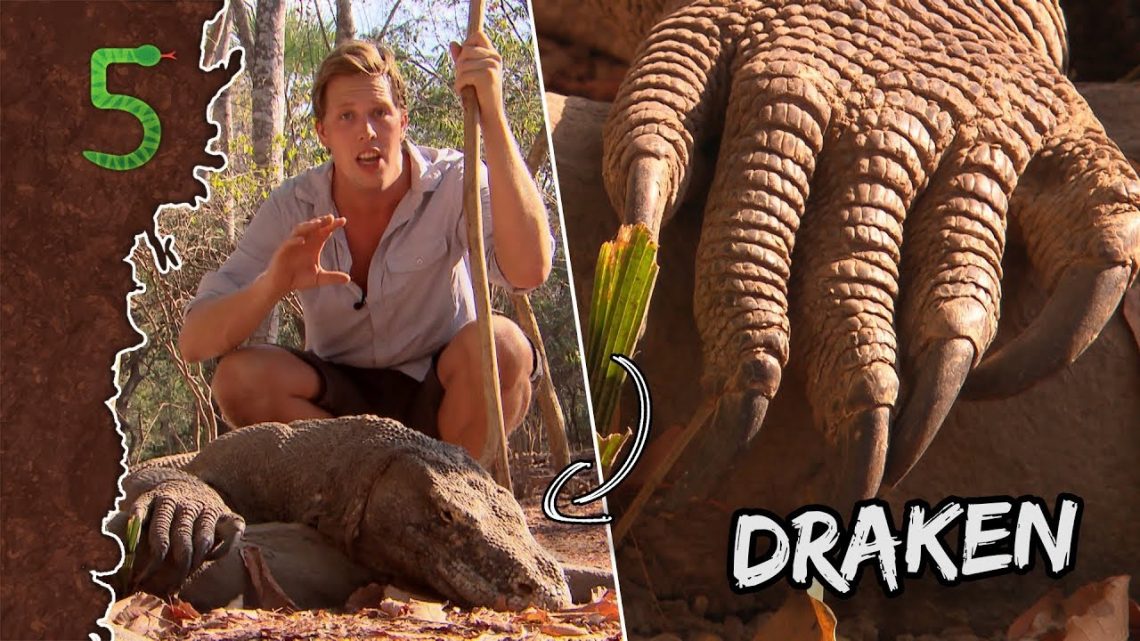 FreekTV – Freeks 5 – Draak Verwondt Freek?!
