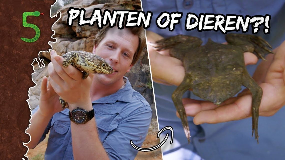 FreekTV – Freeks 5 – Planten Of Dieren?!