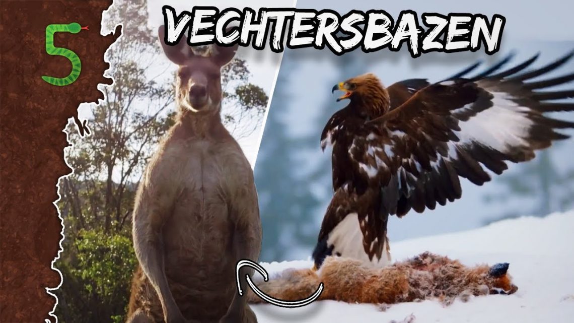 FreekTV – Vechtersbazen