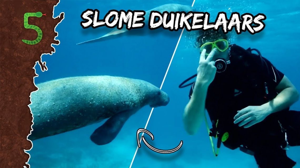FreekTV – Hoe Relaxed Zijn Deze Dieren?!