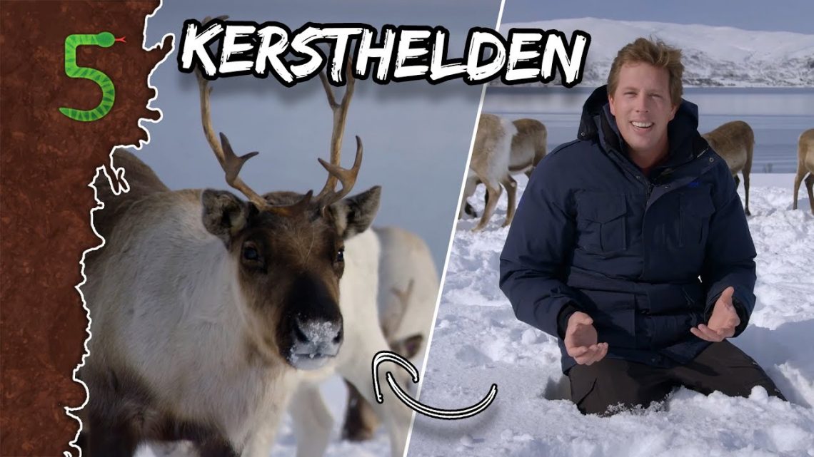 FreekTV – Kersthelden!