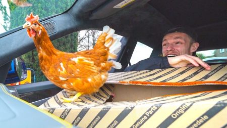 Enzo Knol – Kip Ontsnapt In Mijn Auto!! Niet Poepen! Niet Poepen!! ?? – Vlog #2370