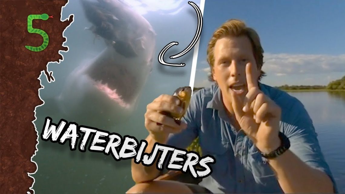 FreekTV – Waterbijters!