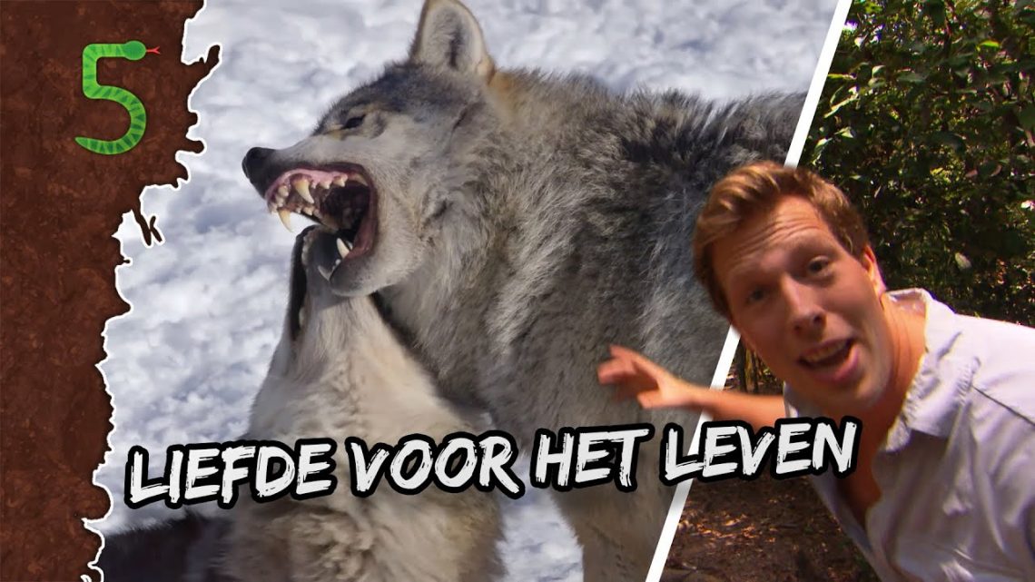 FreekTV – Liefde Voor Het Leven!