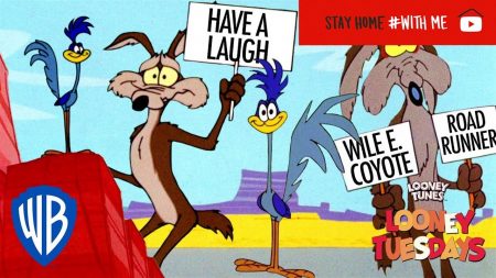 Roadrunner vs Wile E Coyote – Have a Laugh: Wile E. Coyote & Road Runner