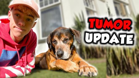 UberQuin – Update Over Bumper Zijn Tumor!
