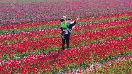 Enzo Knol – Met Lucianno Naar Een Groot Tulpenveld! 🌷🌹 #2815