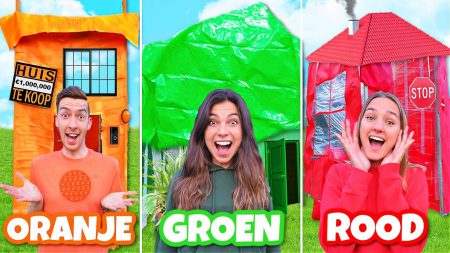 Celine & Michiel – Een Huis Bouwen In 1 Kleur Challenge!! *Deel 2* #315