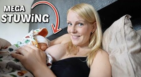 De Bellinga’s – Mega Stuwing & Hoe Gaat De Borstvoeding? 🤱🏼 #2148