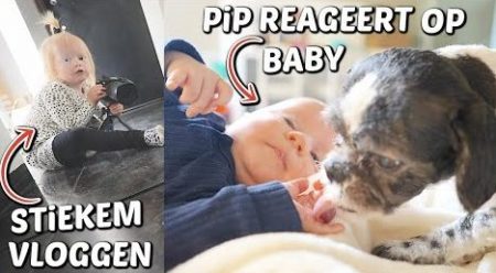 De Bellinga’s – Luxy Vlogt Stiekem & Pip Reageert Op Huilende Baby 😍 #2220